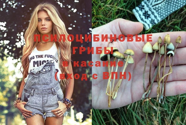 синтетический гашиш Белокуриха