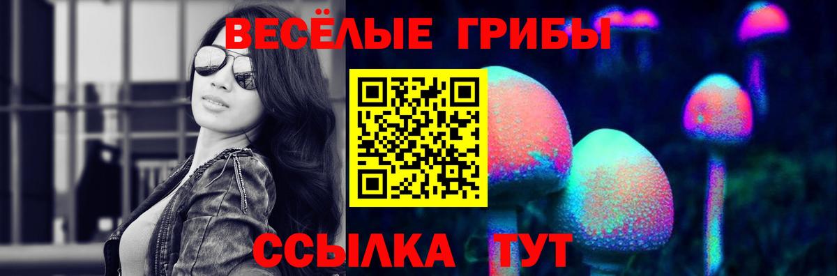 Псилоцибиновые грибы Psilocybe Великий Устюг