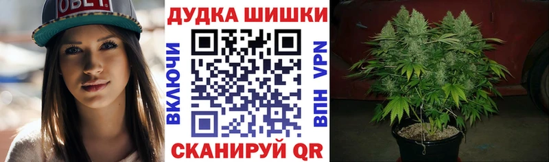 Канабис гибрид  Великий Устюг 